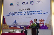 Le Sommet des affaires du Vietnam en novembre à Dà Nang