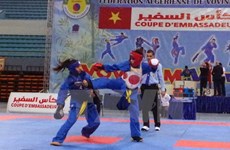 La Coupe d’ambassadeurs de vovinam a fière allure en Algérie