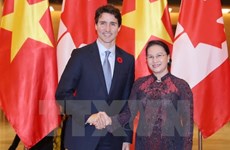 Le Vietnam apprécie et soutient la politique étrangère du Canada