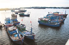Le Vietnam s’efforce d’aller vers une pêche durable