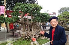 Découvrez l’art du bonsaï dans l’ancien village de Triêu Khuc