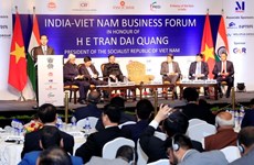 Le président Tran Dai Quang participe à un forum d’affaires Vietnam-Inde