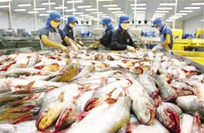 Pangasius : le Vietnam conteste devant l'OMC les mesures américaines