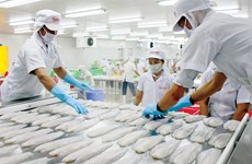 La décision du DOC sur le panga vietnamien transgresse la législation anti-dumping