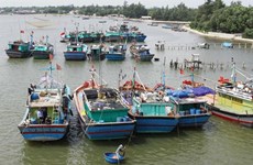 L’Association de la pêche du Vietnam proteste contre les règles chinoises