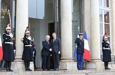 Vietnam-France : entretien entre Nguyen Phu Trong et Emmanuel Macron