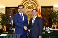 Vietnam-Turkménistan : consultation politique entre les ministères des Affaires étrangères