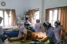 Un accident de car au Laos fait 12 blessés parmi les anciens Viêt kiêu