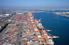 Vietnam-Japon: La valeur d’import-export atteint 11,41 milliards de dollars en 4 mois