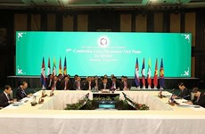 Le Vietnam œuvre pour le développement durable de la sous-région du Mékong