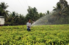 Adapter l’agriculture à la nouvelle donne climatique au Vietnam