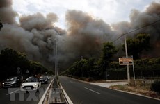 Incendies de forêt en Grèce: message de sympathie au président grec Prokopis Pavlopoulos