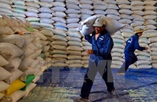 Protection des forêts : Thanh Hoa recevra plus de 50.000 tonnes de riz 