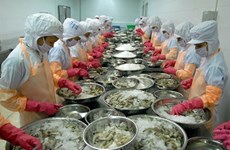 Les Etats-Unis supervisent les crevettes et ormeaux vietnamiens 