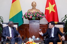 Le Vietnam et la Guinée cherchent à développer leur coopération