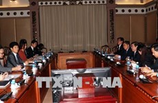 Le Japon est partenaire de premier plan de Ho Chi Minh-Ville dans divers domaines