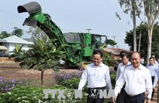Le Premier ministre visite des établissements agricoles à Tay Ninh