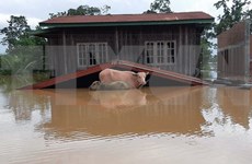 Les inondations généralisées font des ravages au Laos