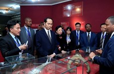 Le président Tran Dai Quang quitte l’Ethiopie pour l’Egypte