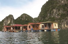 Quang Ninh: valorisation culturelle des villages de pêcheurs à Ha Long