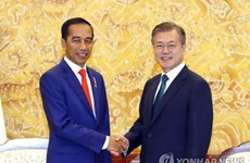 La R. Corée et l'Indonésie discutent des moyens d'intensifier le partenariat stratégique