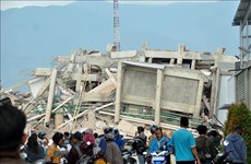 Séisme et tsunami en Indonésie: aide urgente du Vietnam 