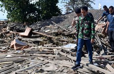 Séisme en Indonésie: le président Widodo inspecte les opérations de secours