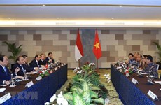 Le Premier ministre Nguyen Xuan Phuc s'entretient avec le président indonésien