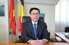 Le Vietnam promeut sa coopération intégrale avec l’Europe