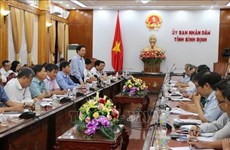 Pêche illicite : Binh Dinh s’efforce de réaliser toutes les demandes de la CE