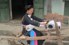 Chez les Cao Lan de Khe Nghè, le métier à tisser la tradition  