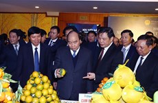 Hoa Binh signe des accords d'une valeur de plusieurs milliards de dollars