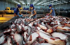 La Chine, un marché prometteur pour les poissons tra du Vietnam 