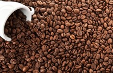 Les exportations nationales de café se portent bien en 11 mois