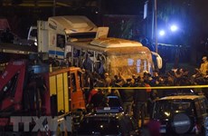 Trois Vietnamiens tués dans un attentat à la bombe en Egypte