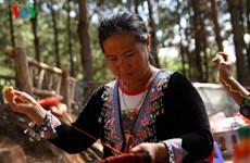 Le tissage de brocatelles à Môc Châu, véritable héritage culturel  