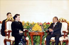 La présidente de l’AN appelle à l'achèvement de la pose des bornes sur la frontière Vietnam-Cambodge