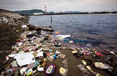 Coopération internationale dans le règlement des déchets plastiques en Mer Orientale