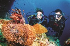 Restauration corallienne pour protéger les ressources aquatiques
