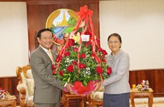 Le Vietnam félicite le Laos pour le Nouvel An traditionnel