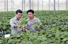 De grands groupes vietnamiens s’intéressent de près à l’agroalimentaire