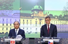 Vietnam et R. tchèque promeuvent leur coopération multiforme