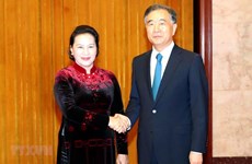 La présidente de l’AN vietnamienne rencontre le plus haut conseiller politique chinois