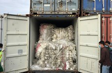 Le Cambodge sanctionne un importateur de déchets plastiques