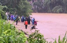 Le typhon Wipha fait cinq morts et 14 disparus au Vietnam