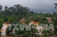 Les inondations font 5 morts dans la province de Dak Nông