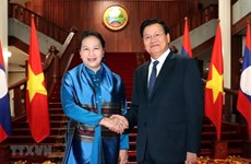 La présidente de l’Assemblée nationale du Vietnam rencontre le Premier ministre lao