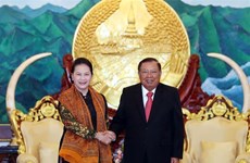 Nguyên Thi Kim Ngân s’entretient avec Bounnhang Vorachith à Vientiane