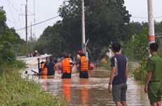 Vietnam et Japon partagent des solutions pour réduire les risques de catastrophe 