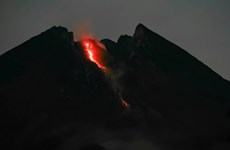 Indonésie : Un volcan fait irruption et délenche une alerte aérienne